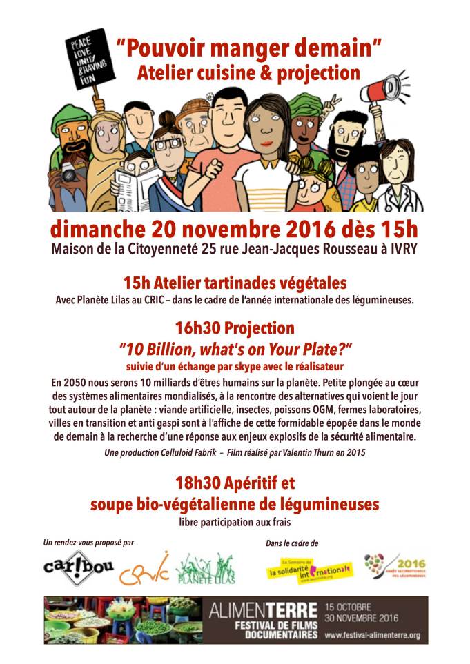 affiche-20-novembre-2016-light